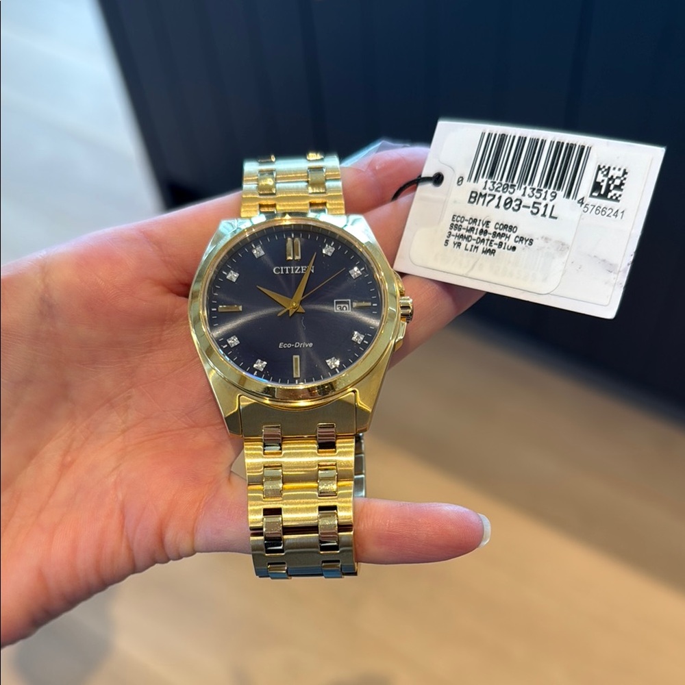 Citizen Gold and Black Eco-Drive Watch